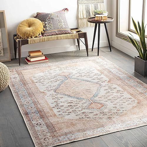 Hauteloom Moora Boho Vintage Distressed Area Rug - Machine Washable Traditional Medallion Area Rug for Living Room, Bedroom, Dining Room - Tan, Peach, Blush - 6'7" x 9' (6x9)