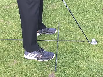 Frogger Golf 40 Alignment Stick Training Aid