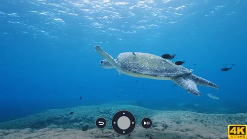 Aquário 4K VIDEO (ULTRA HD)