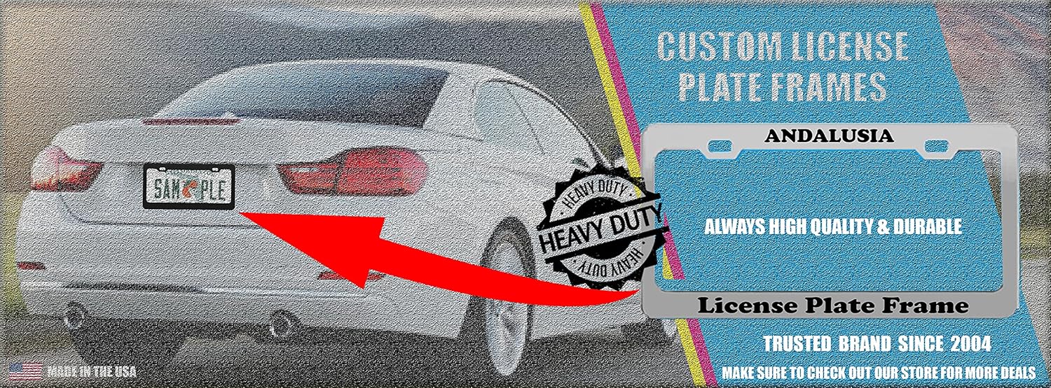 Custom Metal Stainless Steel License Plate Frame Auto Exterior Acessory