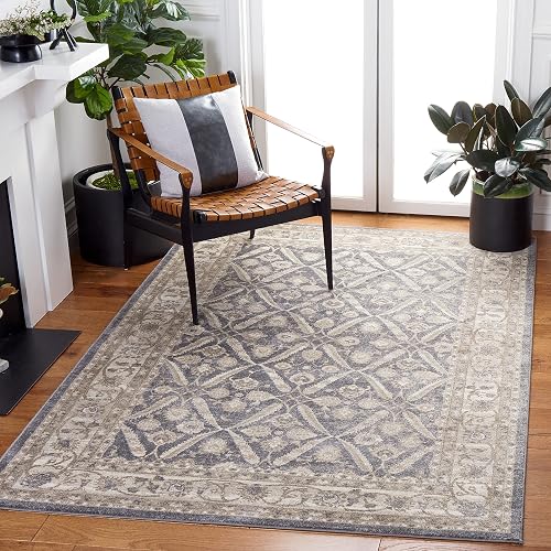 SAFAVIEH Sofia Collection 8' x 10' Dark Grey/Beige SOF378F Boho Tribal Distressed Oriental Non-Shedding Living Room Dini
