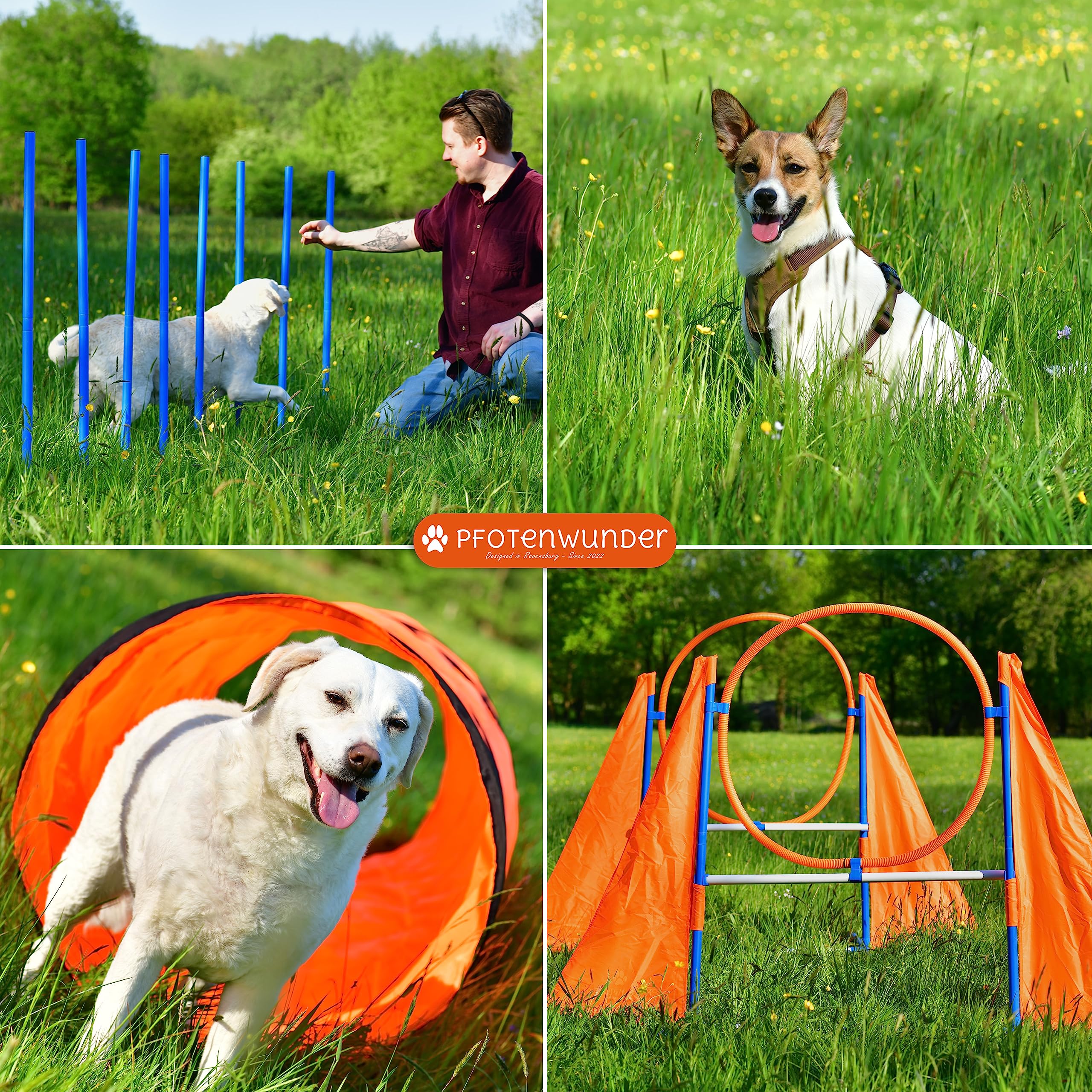 PfotenWunder® XXL-Profi-Agility Set Hunde Groß + 3 Meter-Tunnel + 21 Min. HUNDESCHULE -6 Slalomstangen, für kleine & große Hunde-Training Sport Cavaletti Parcour Steckhürdenset Zubehör Hürden