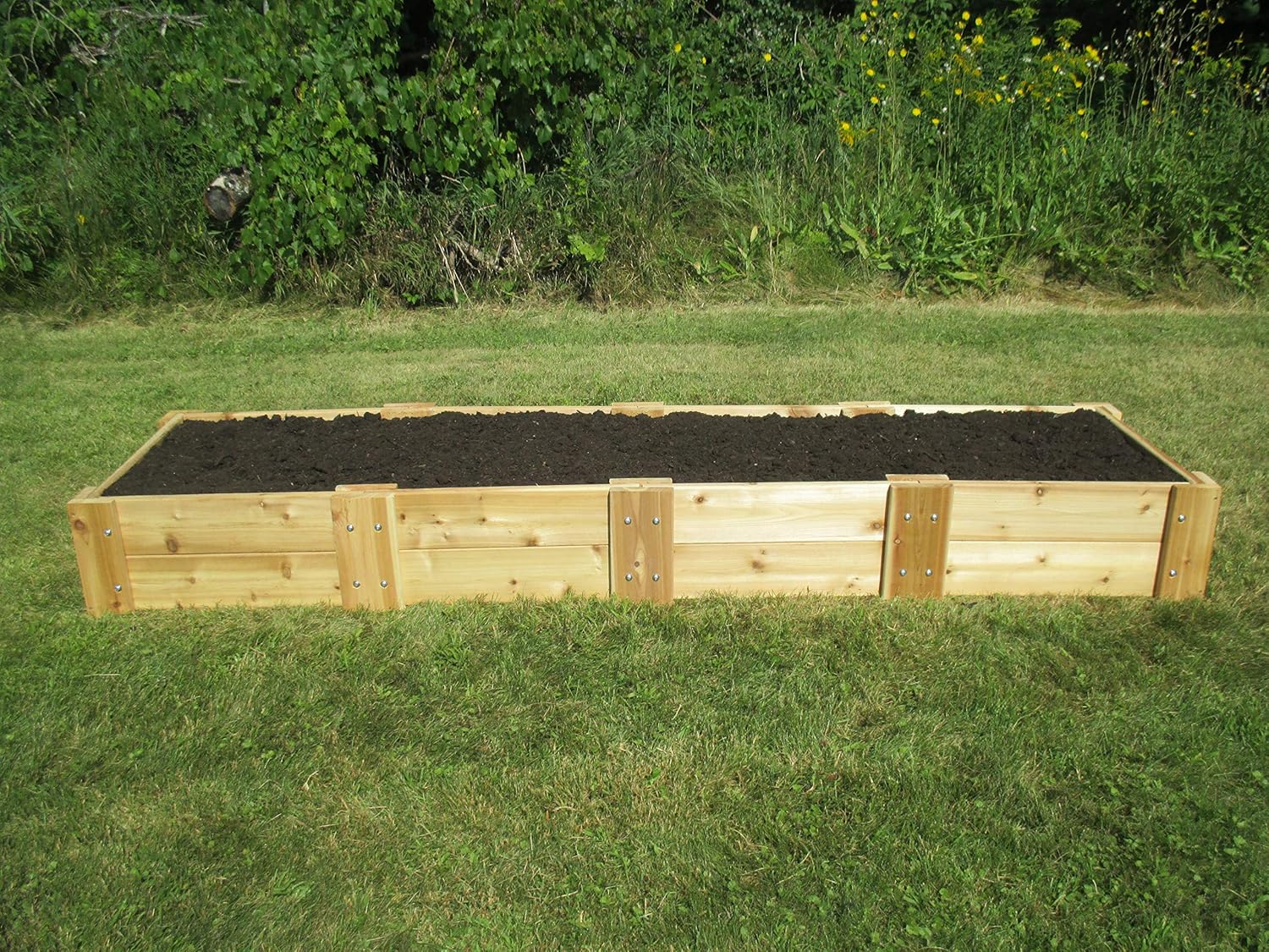 Infinite Cedar Premium Cedar Raised Garden Bed (2' x 8' x 11" H)