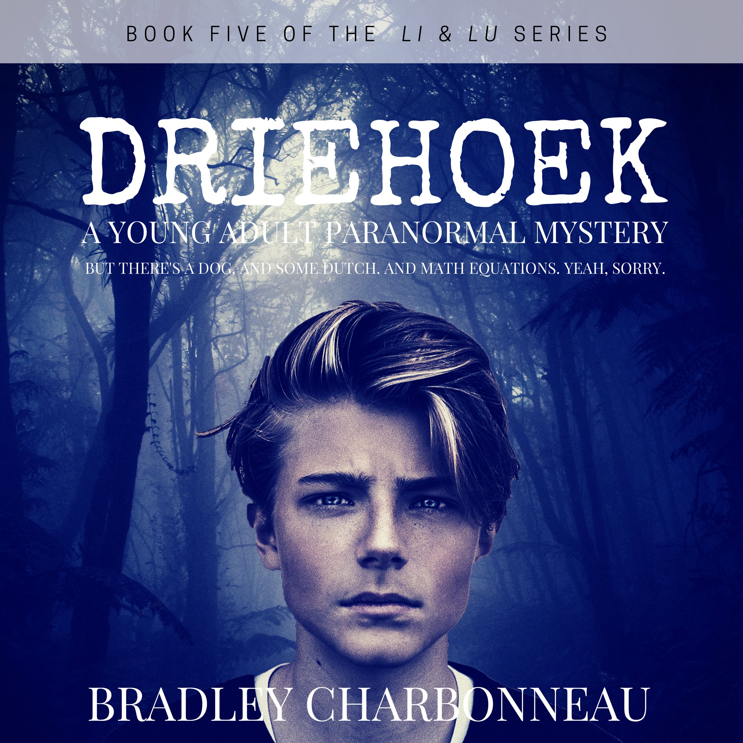Cover art for Driehoek