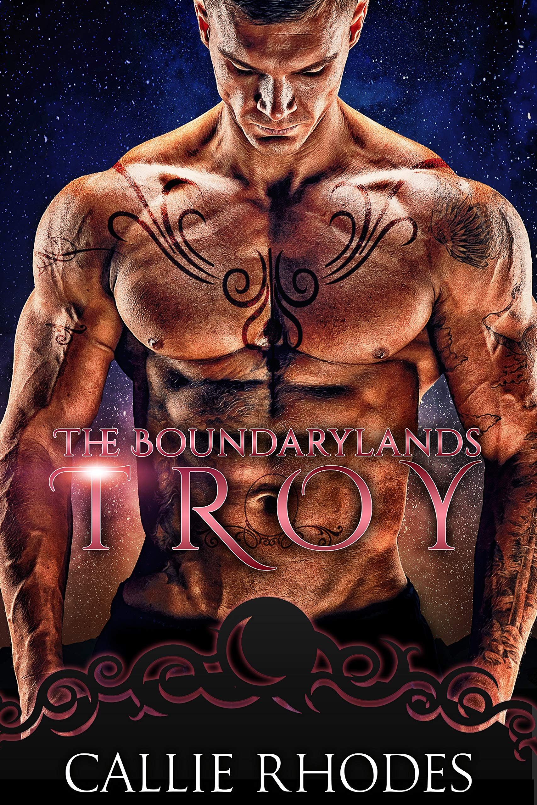 Troy: The Boundarylands Omegaverse: M/F Alpha Omega Romance Kindle Edition
