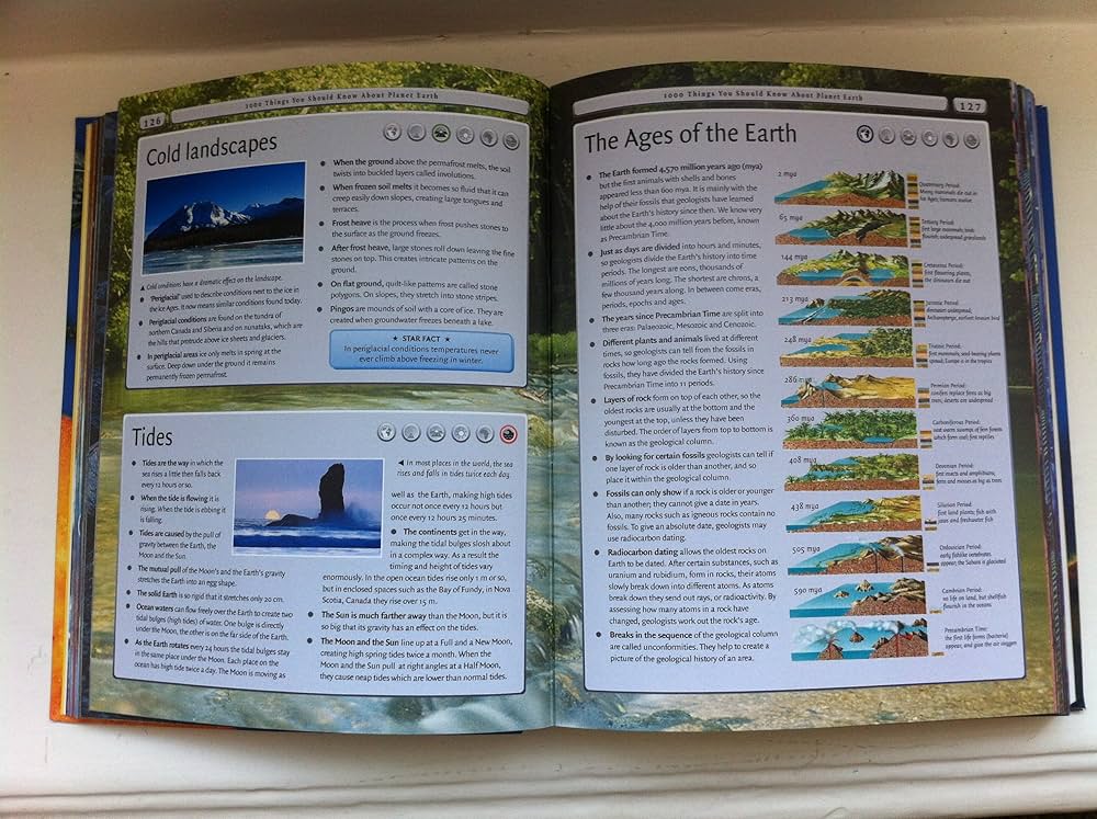 8000 Things You Should Know: Miles Kelly Publishing: 9781842368046