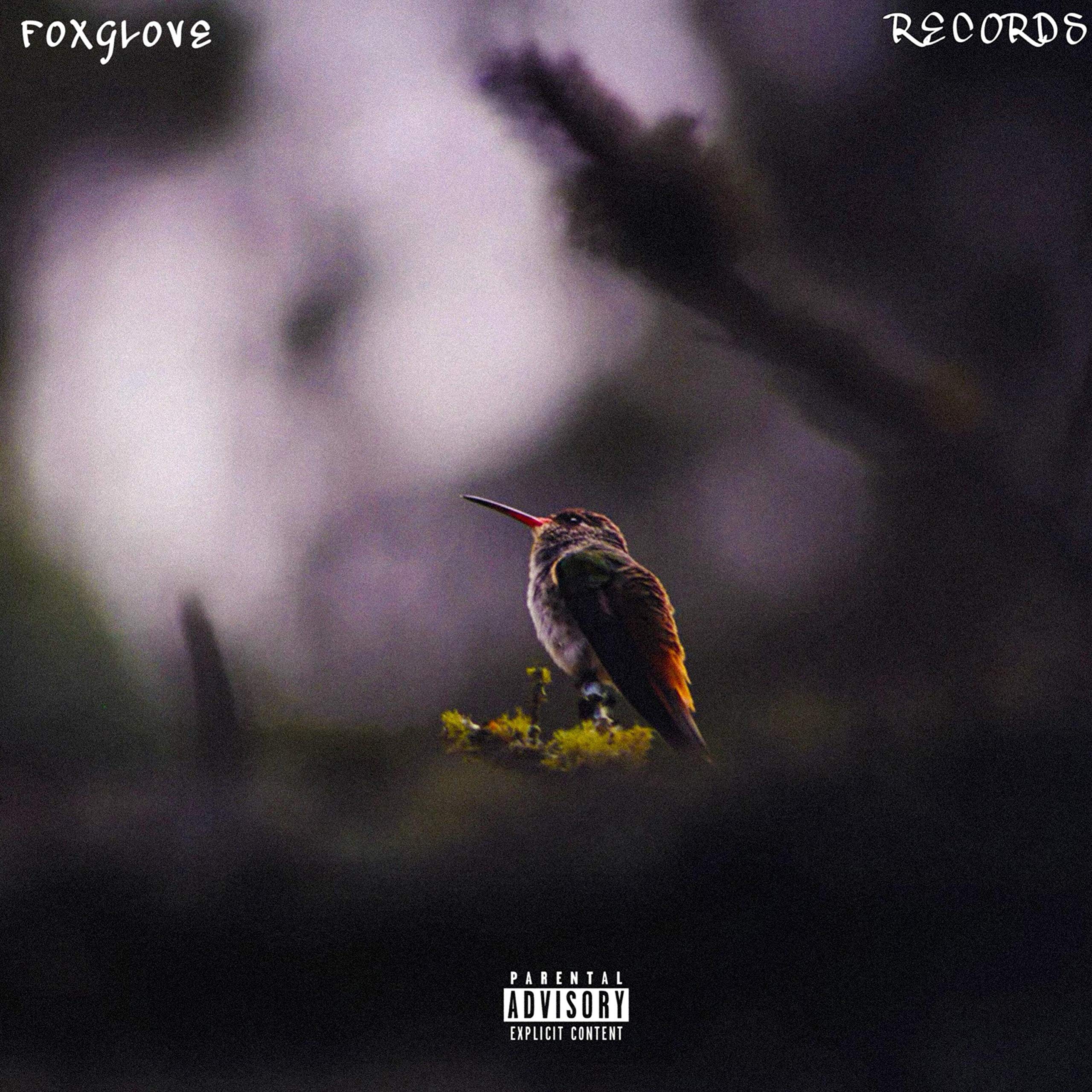 Foxglove Records Presents: FXG Tape [Explicit]