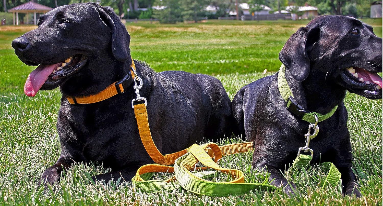 Hemp Corduroy Dog Collar - No Pattern (3/4" Medium, Avocado)