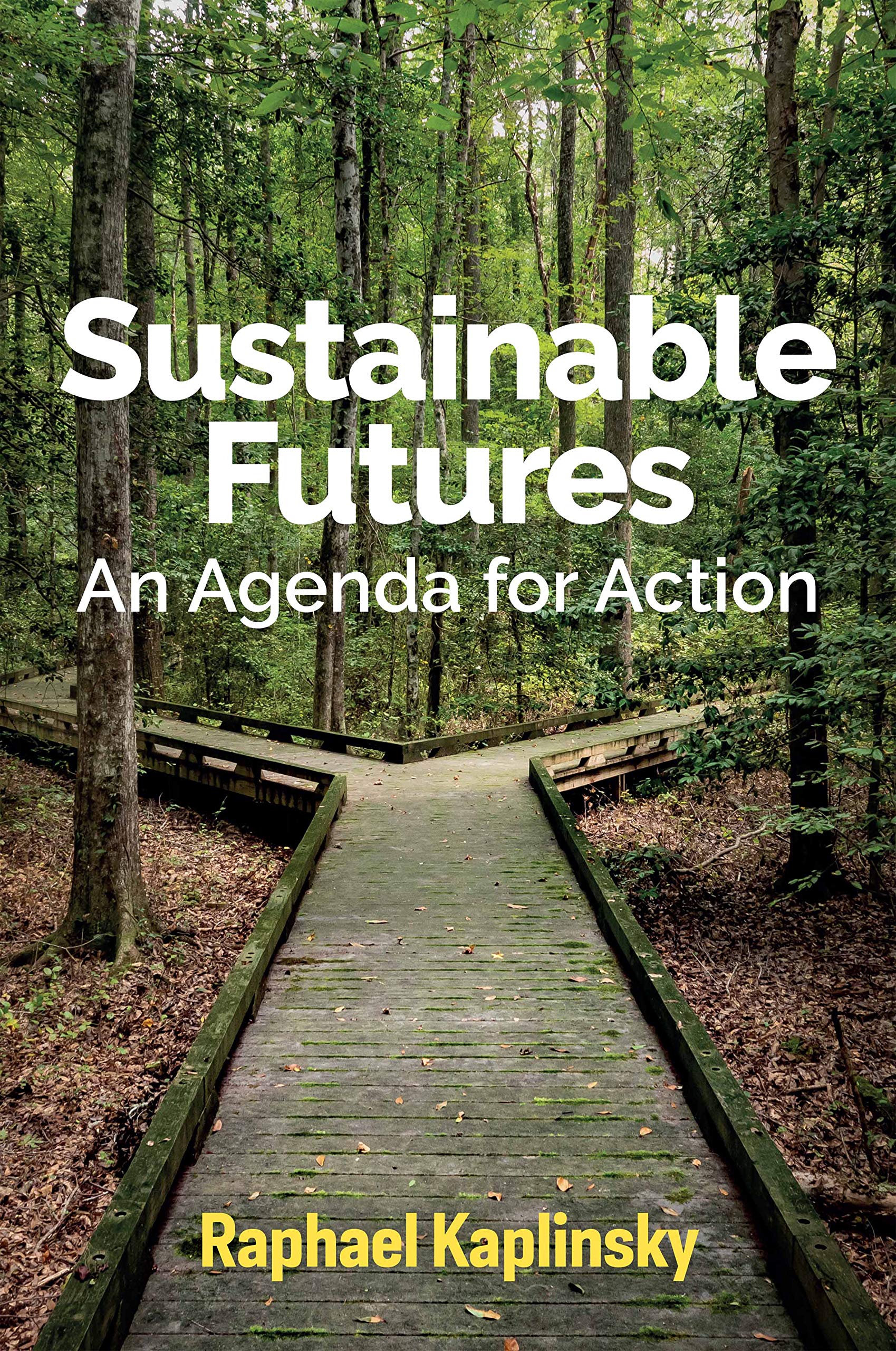 Sustainable Futures: An Agenda for Action by Raphael Kaplinsky PAPERBACK