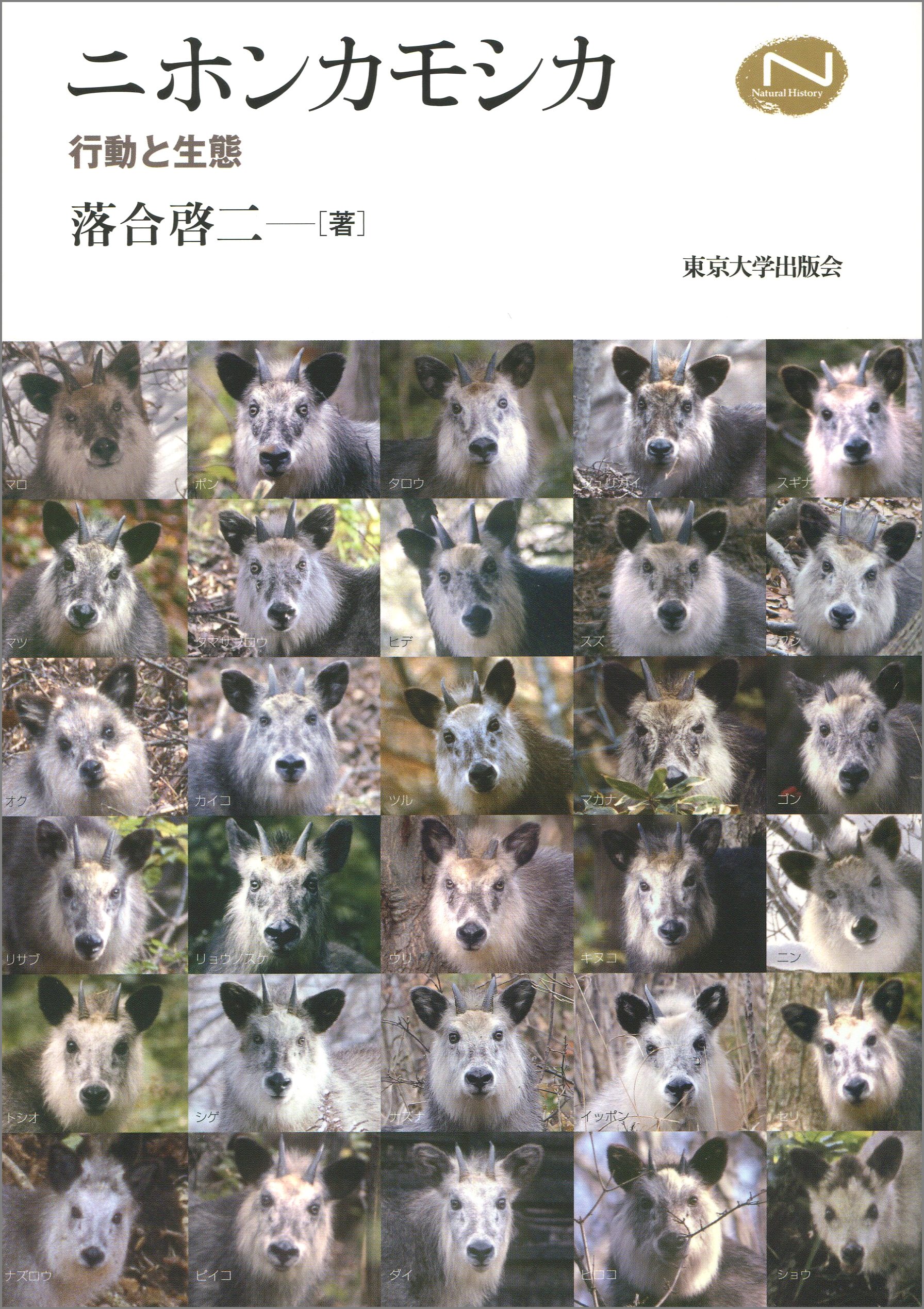 カモシカの角 2本セット A11xAACOX0L.jpg