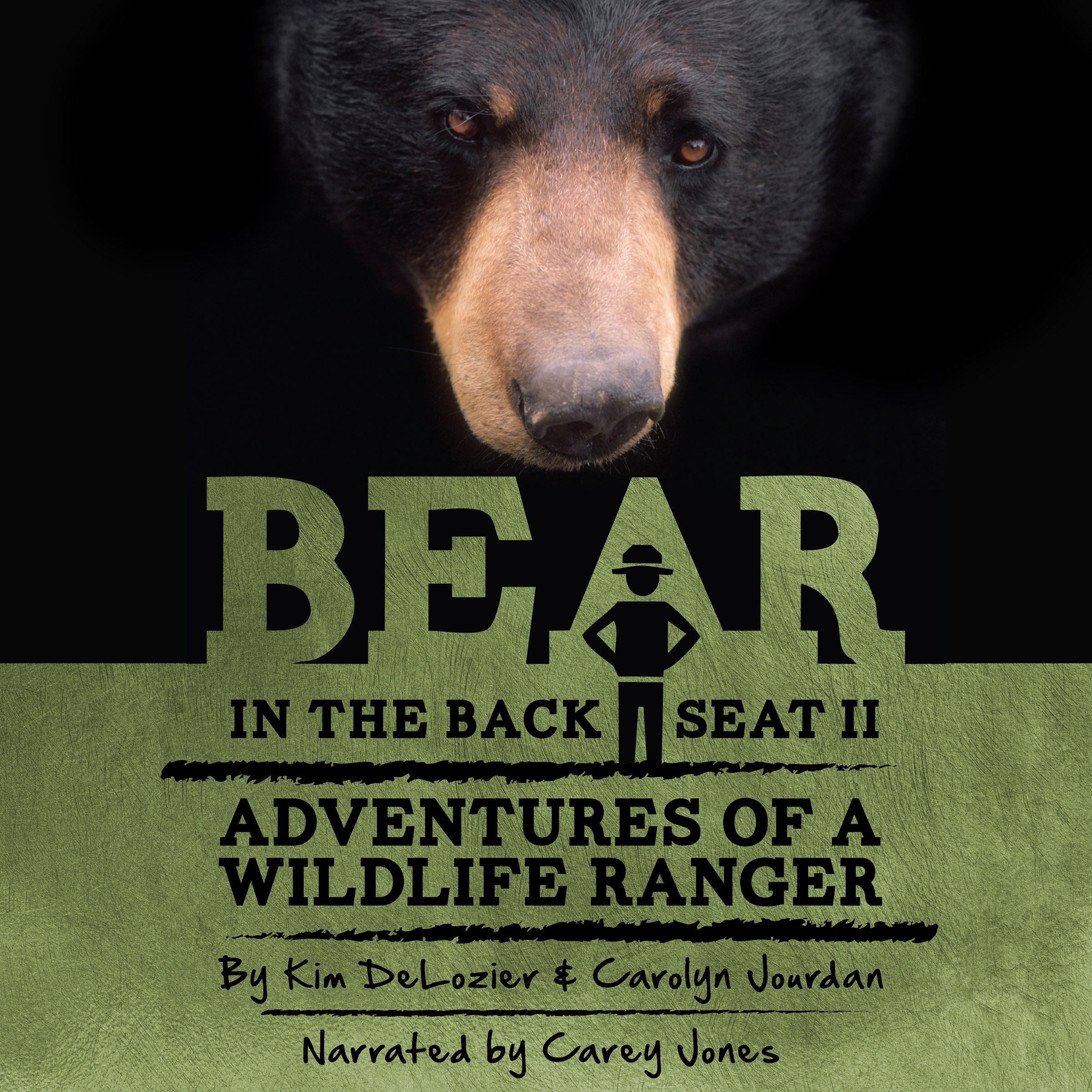Cover art for Bear in the Back Seat, Book 2