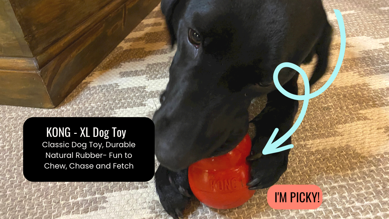 What Can I Put In A Kong For My Puppy