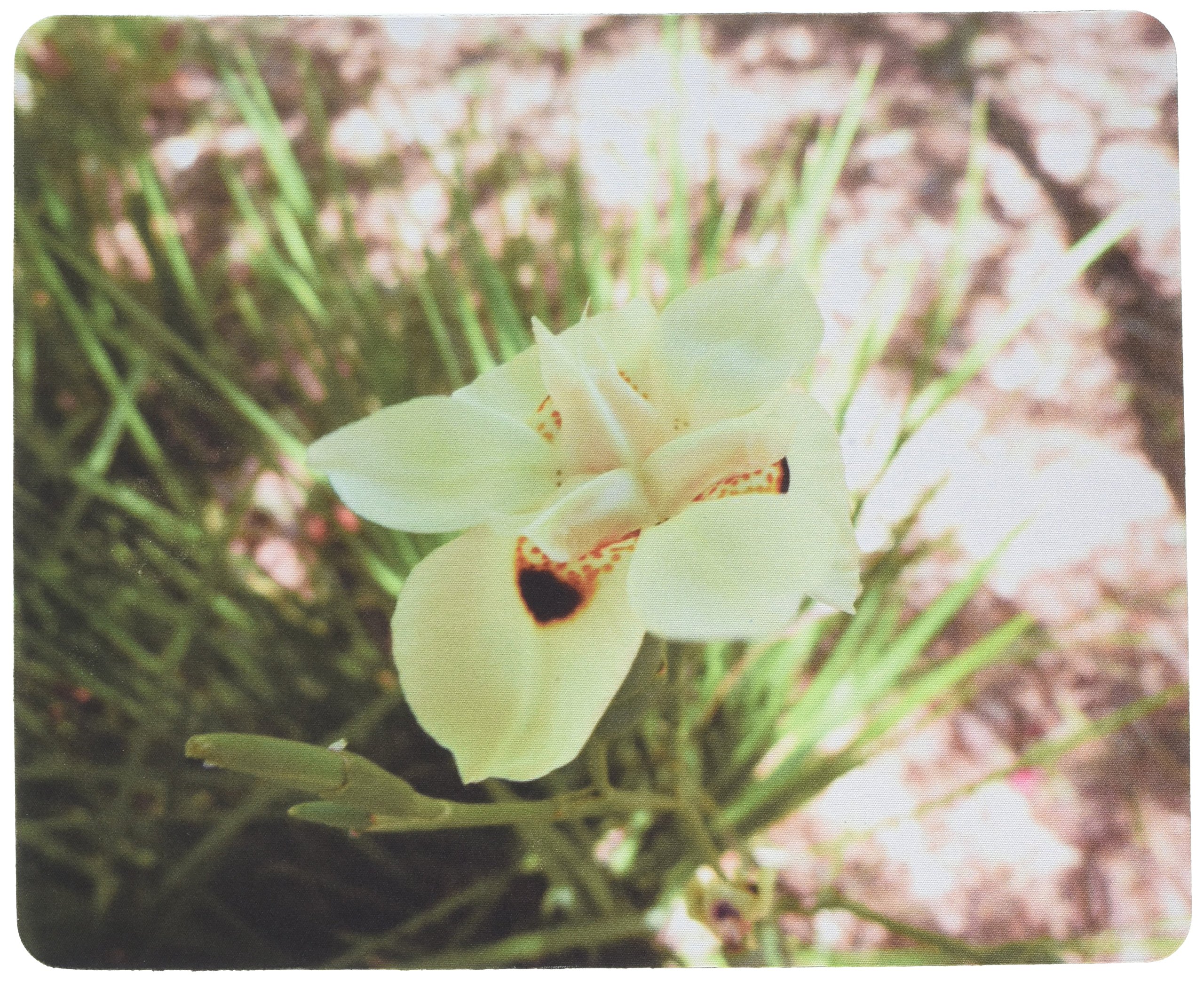 Rock BullMousePad, Flower (2014MP)