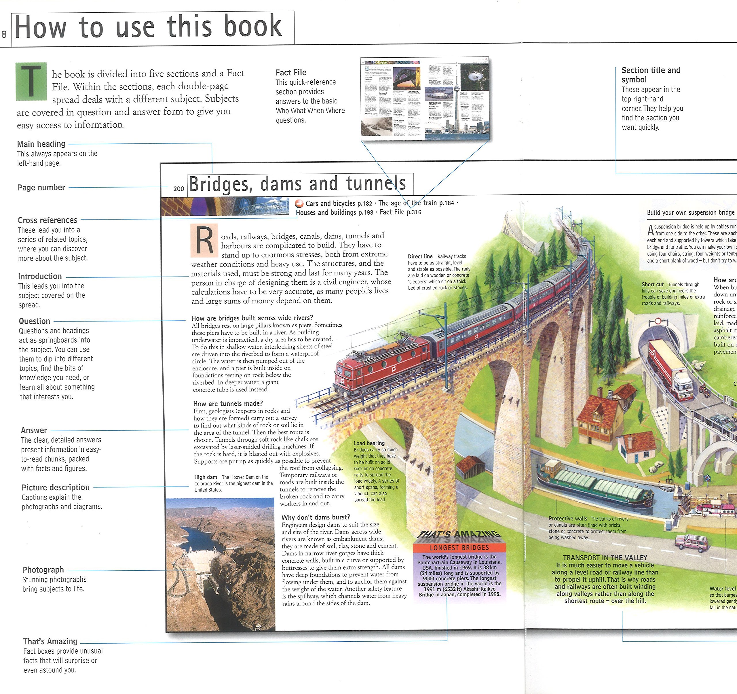 Reader's Digest Book of Amazing Facts: A Children's Guide to the World