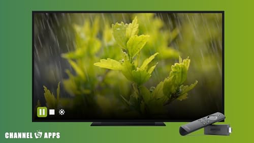 Som da Floresta de Chuva & Natureza: Som Relaxante da Chuva para Dormir e Meditar, Estudo, Sons da F