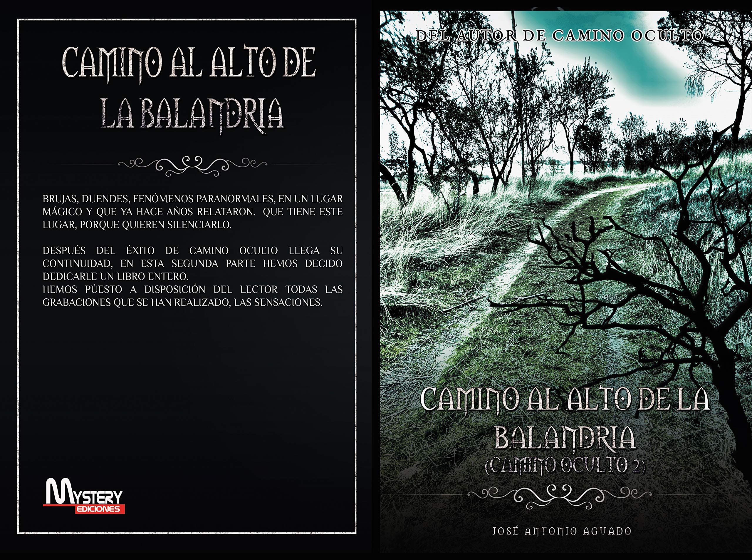 Camino al Alto de la Balandria: Camino Oculto 2 (Spanish Edition)