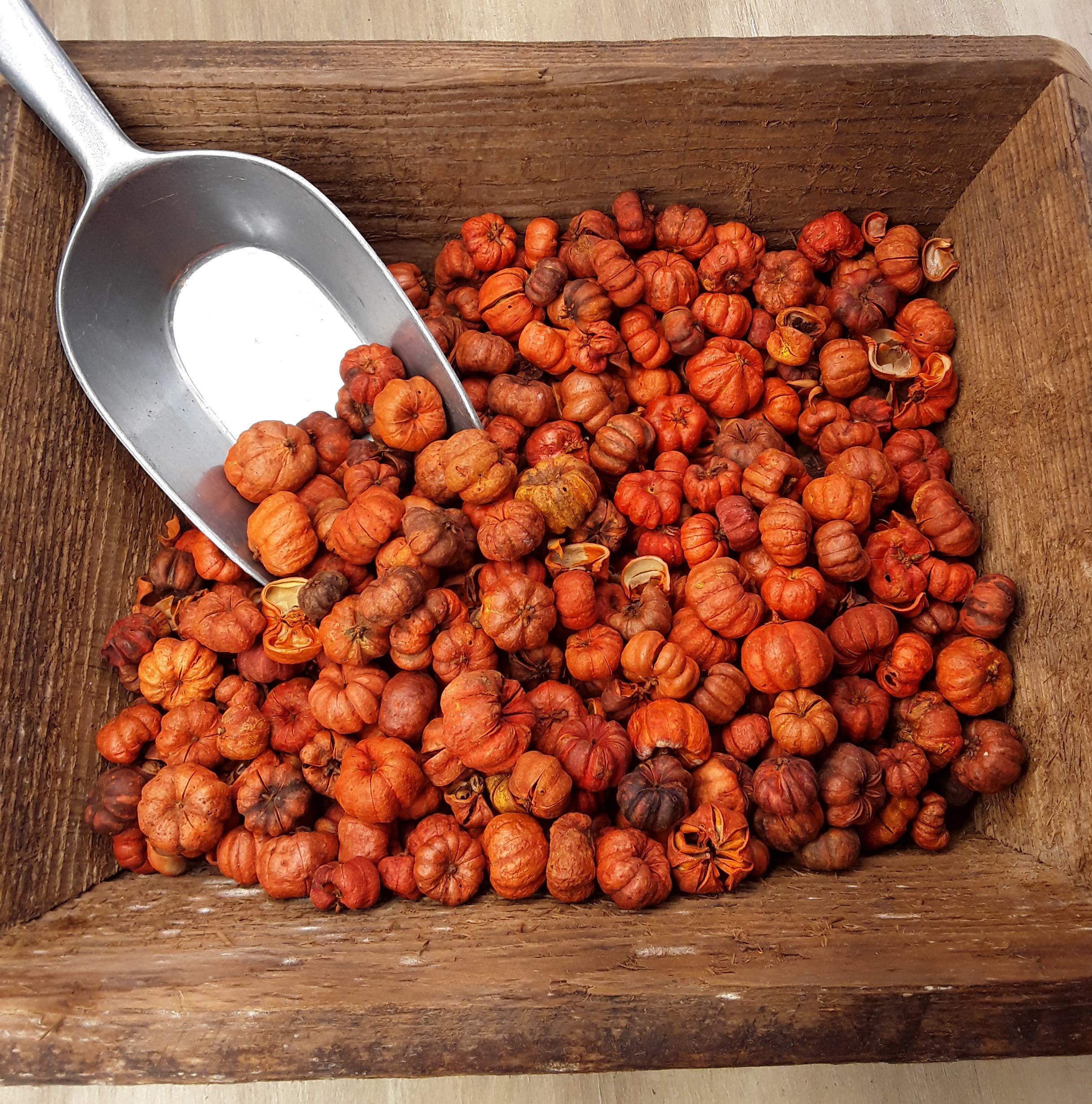 Amazon.com: On The Bright Side Mini Orange Putka Pods (Pumpkin