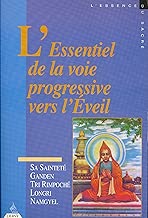 Download L'essentiel de la voie progressive vers l'éveil PDF