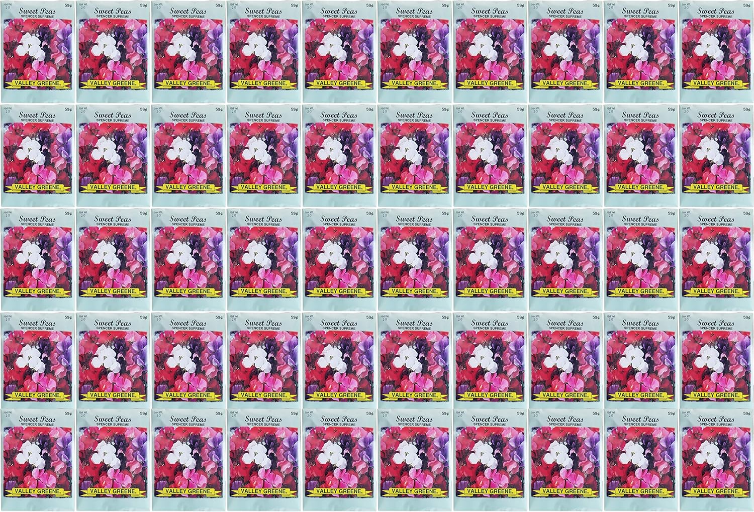 Set of 50 Flower Seed Packets! Flower Seeds in Bulk (50, Sweet Pea Spencer Supreme)