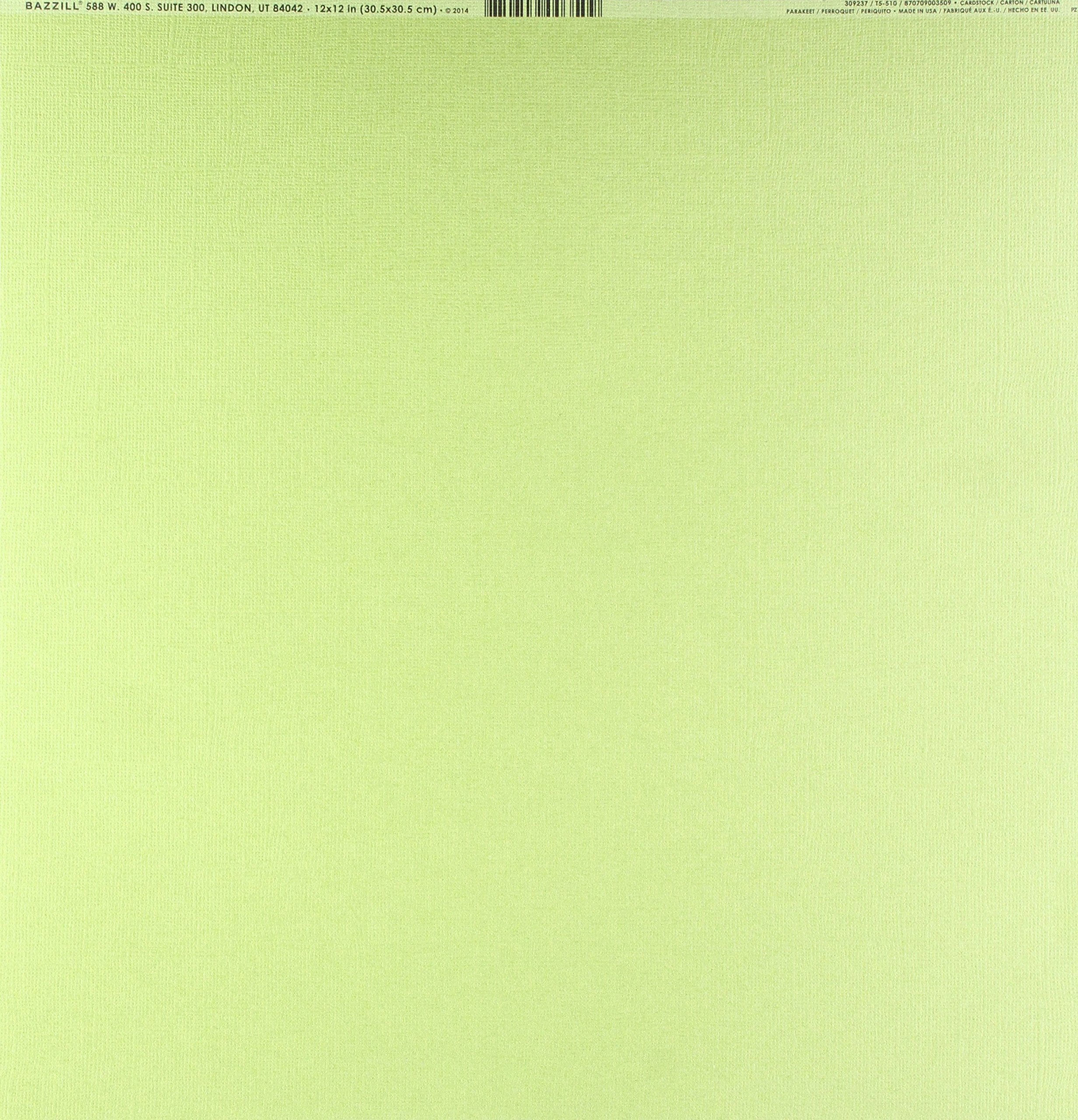 BazzillBasics Paper Parakeet 12" x 12"/80 lb Mono Cardstock, Multicolor