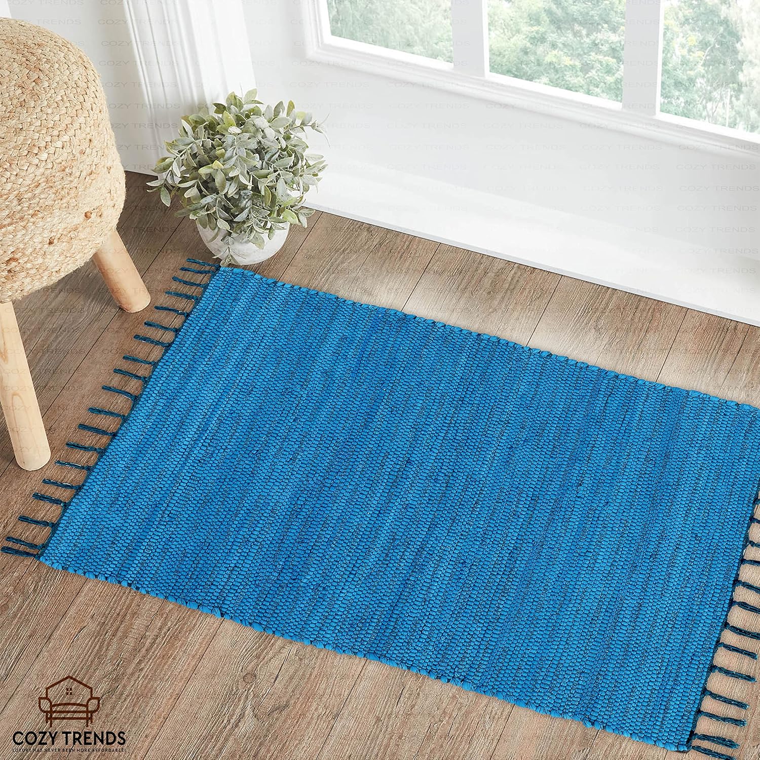 Cotton Rag Rug 24''x36''- Multicolor Chindi Rug - Hand Woven Washable & Reversible for Living Room Kitchen Entryway with Tassel (Teal)