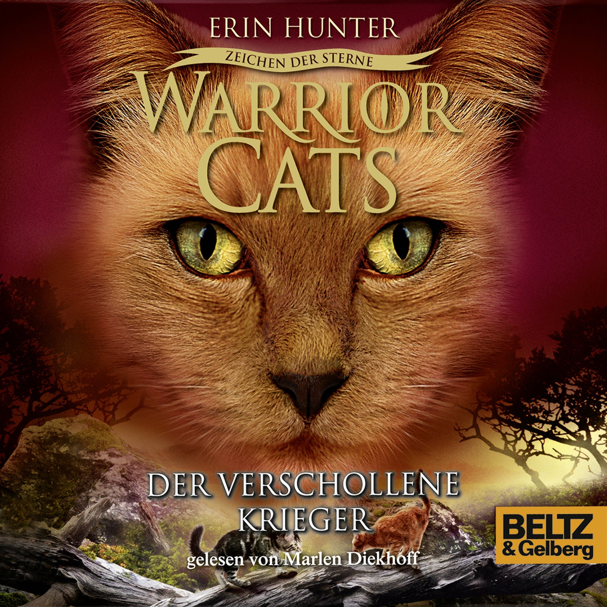 Der verschollene Krieger: Warrior Cats - Zeichen der Sterne 5