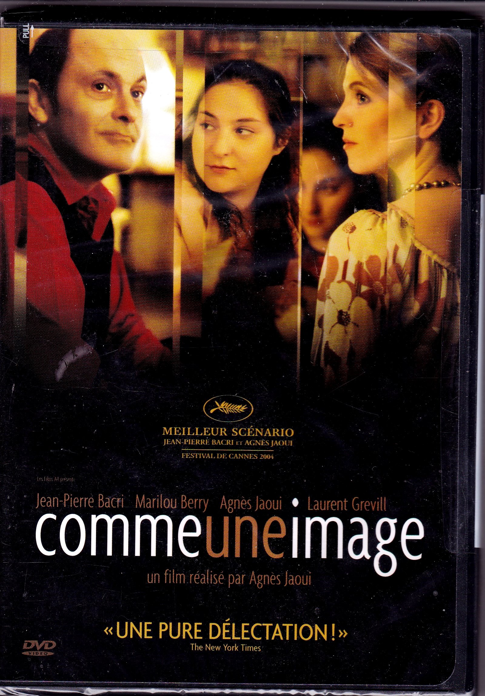 Comme Une Image (Version française) [DVD]
