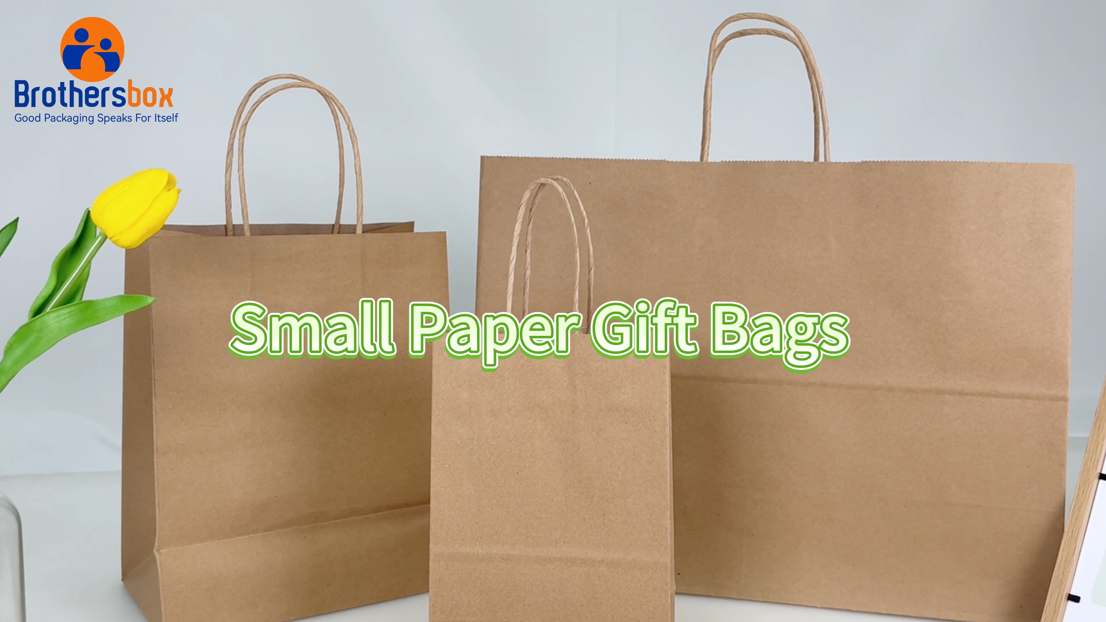 Amazon.com: Brothersbox Small Brown Paper Bags with Handles 100PCS