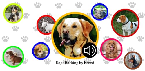 Dogs Barking by Breed (Sons de latidos de cachorro por raça)