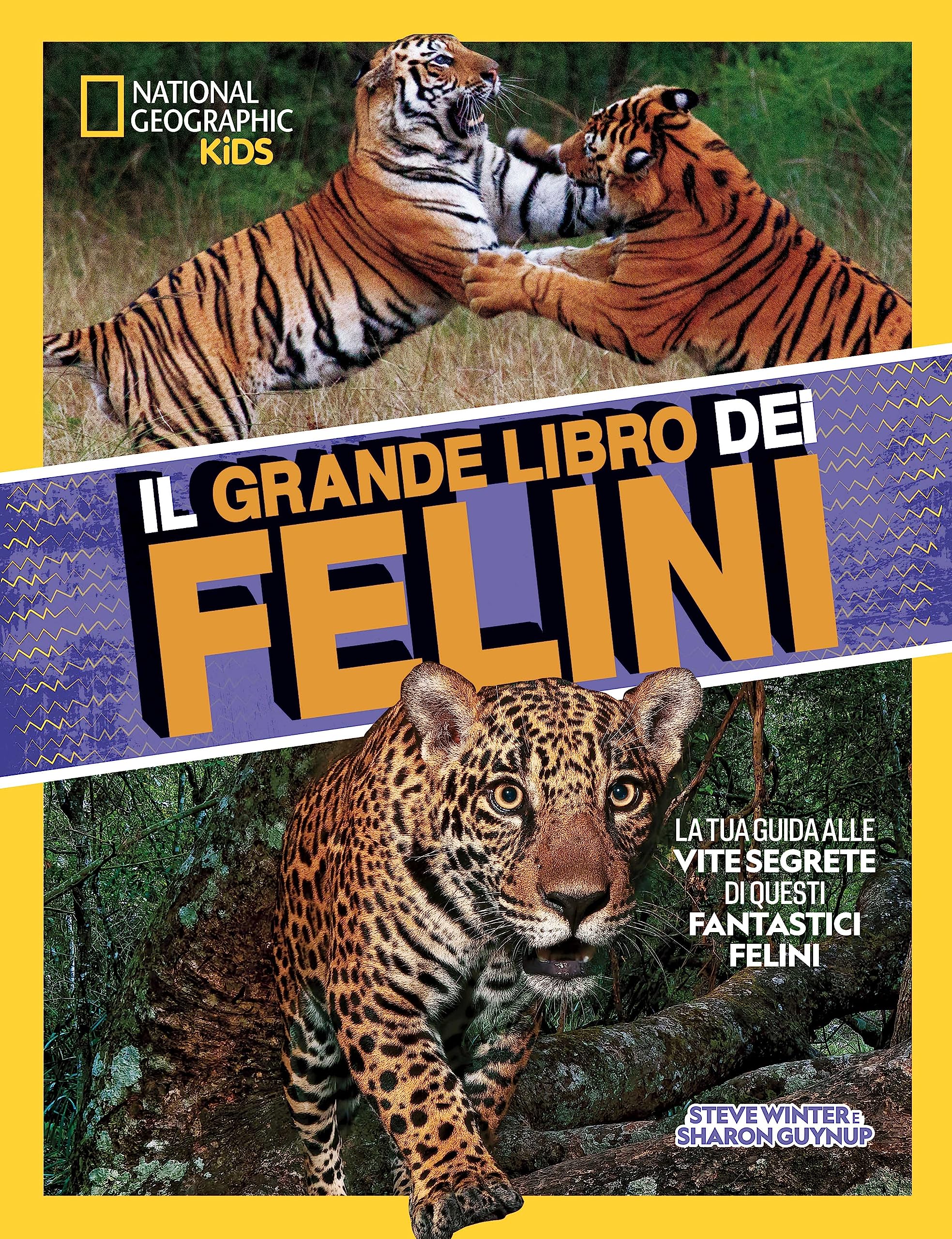 Il grande libro dei felini. Ediz. a colori