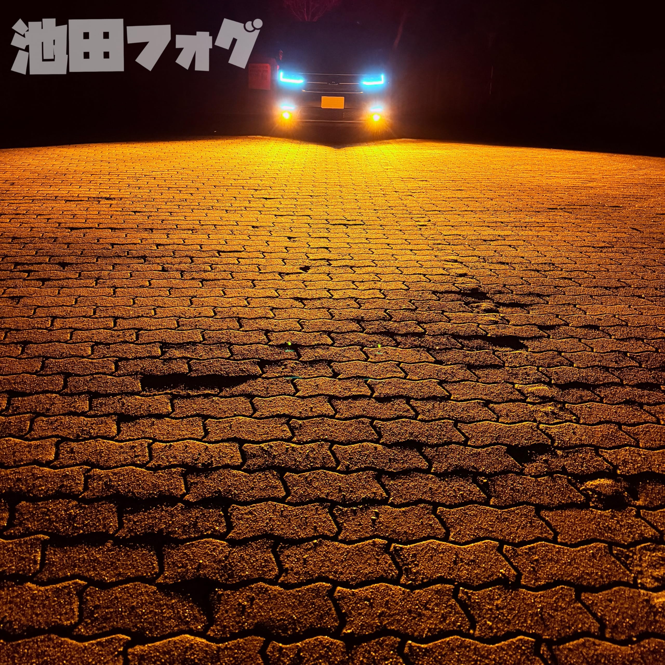 Amazon.co.jp: 池田フォグ L1B フォグランプ led 新型 純正交換用
