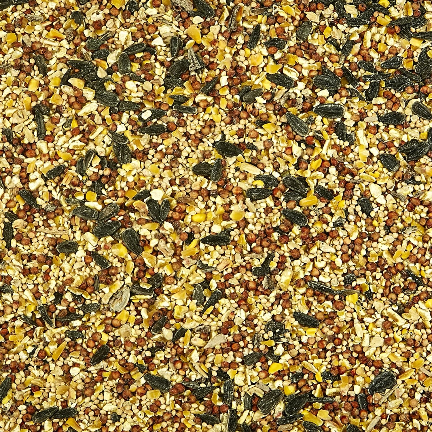 Kaytee Wild Bird Food, 10-Pound Bag