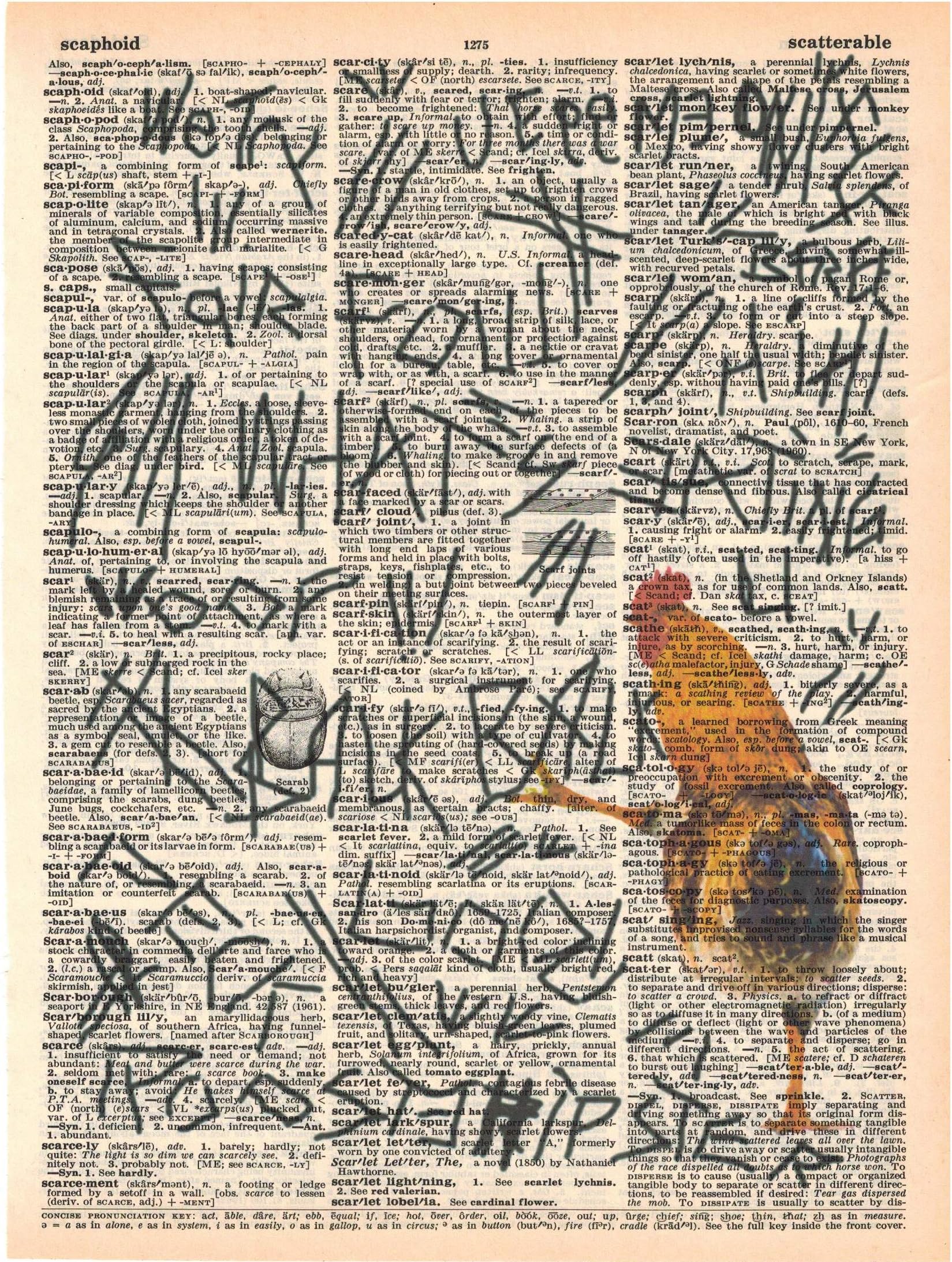 Artnwordz Chicken Scratch Dictionary Page Art