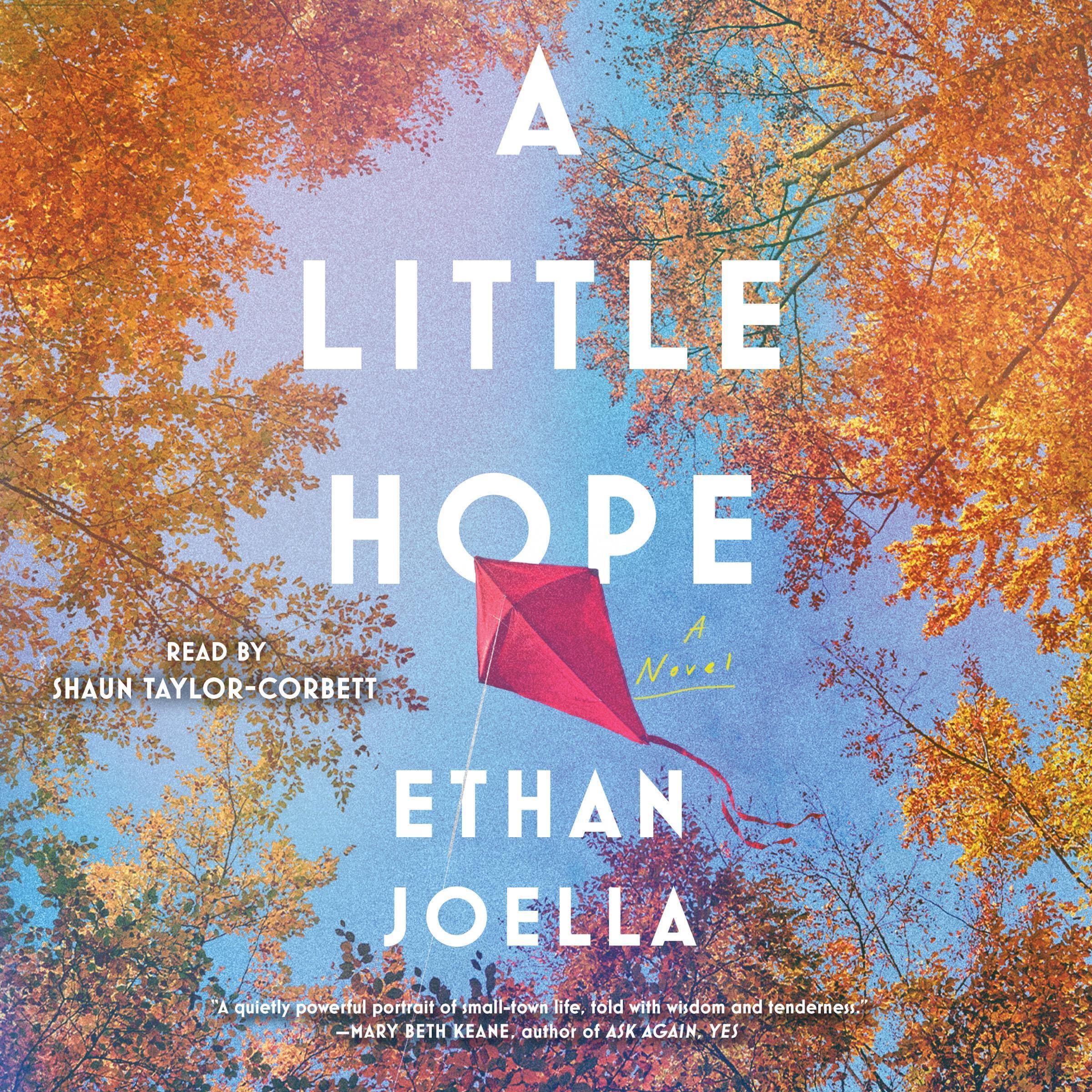 Cover art for A Little Hope