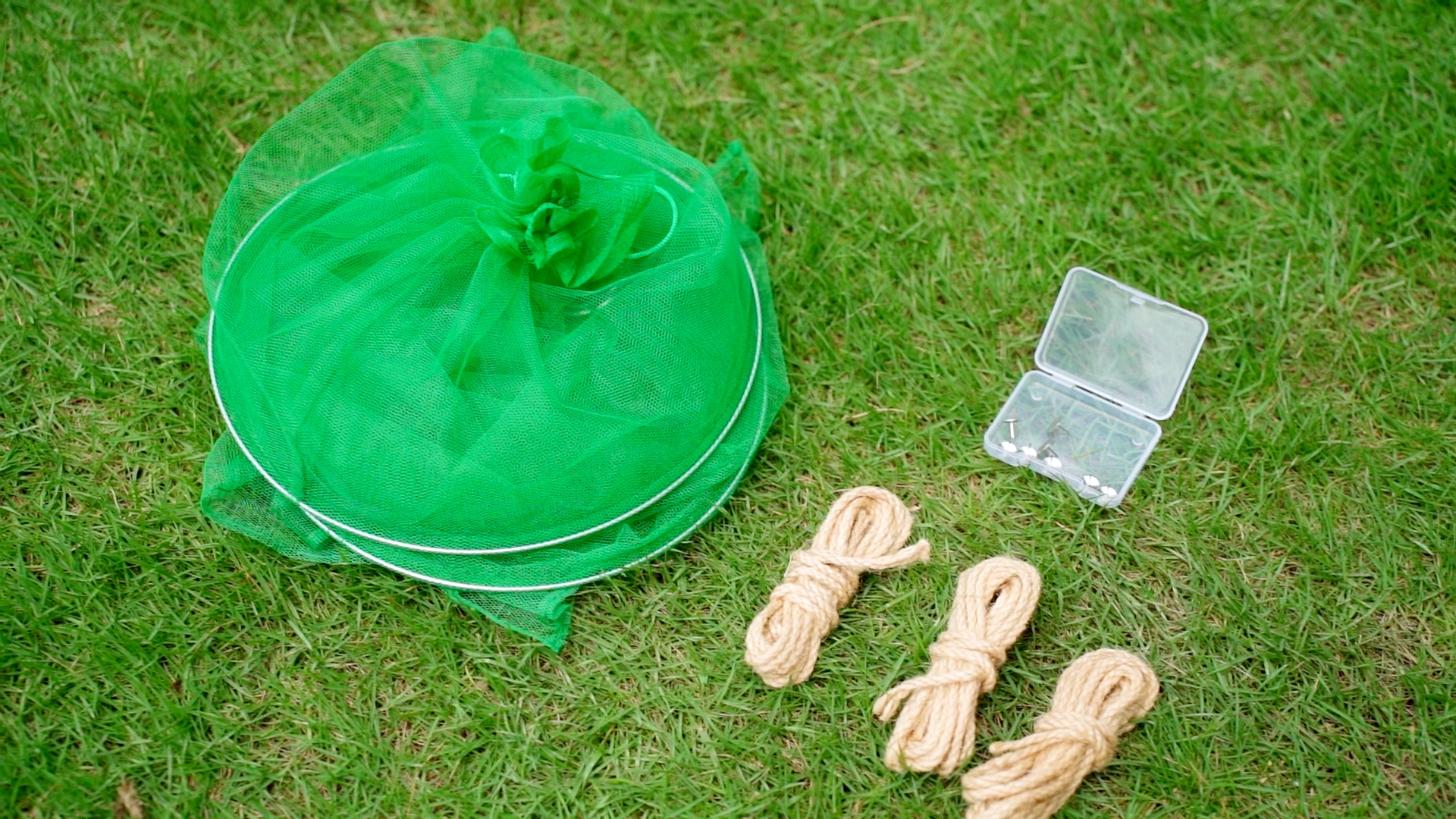 Amazon.com : Qualirey 8 Pack Spotted Lanternfly Traps Lantern Fly