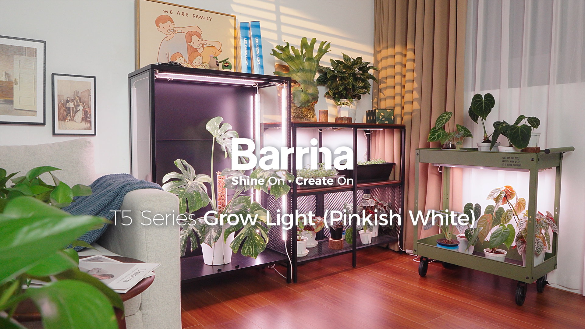 Amazon.com : Barrina T5 Grow Lights for Indoor Plants, Full