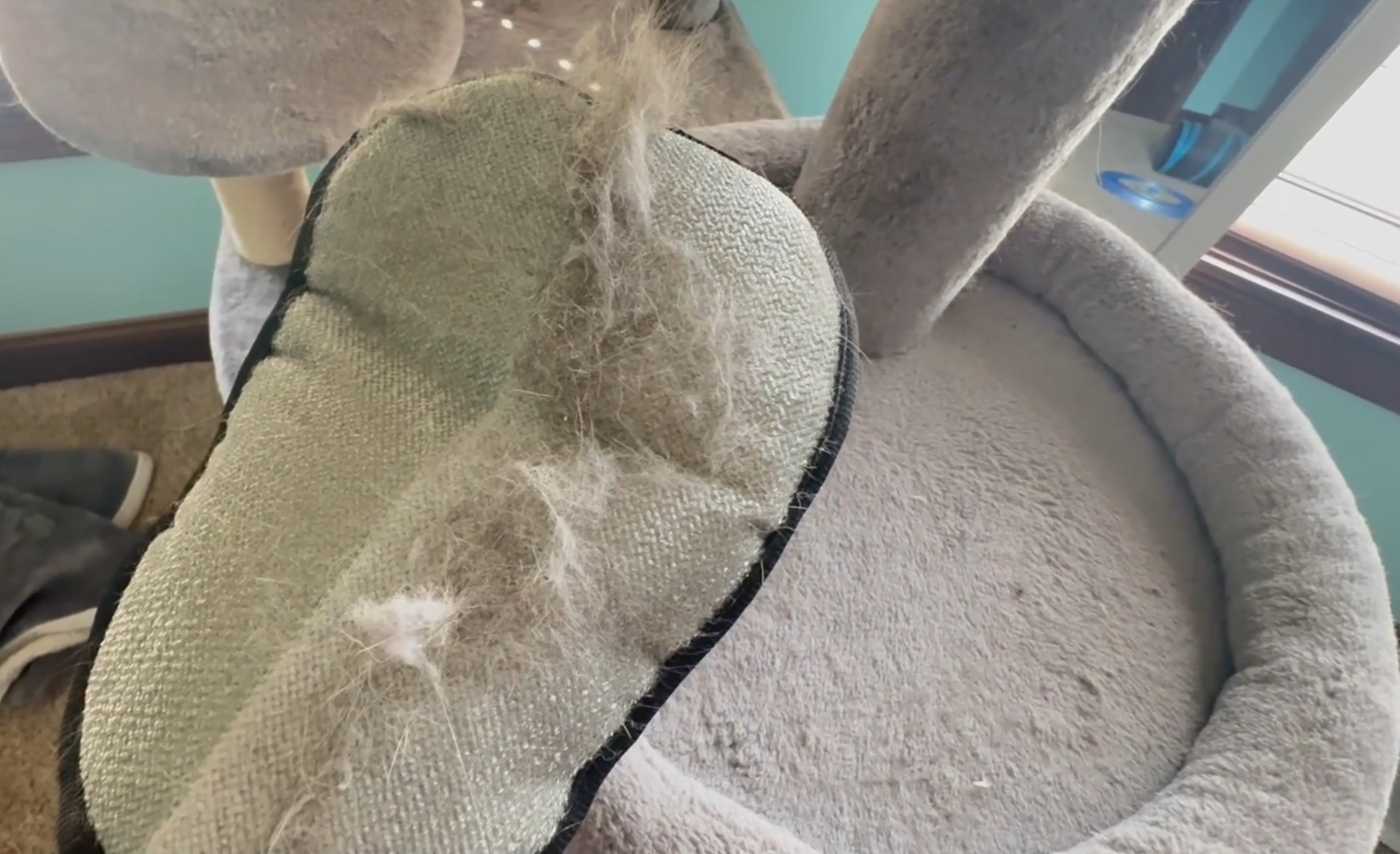 Pet Hair Removal Glove for Cats & Dogs, Upgraded Five-Finger Electrostatic Pet Hair Glove, Reusable Magic Brush Pet Hair Remover Tool for Laundry, Couch, Carpet, Car Seat - image 7