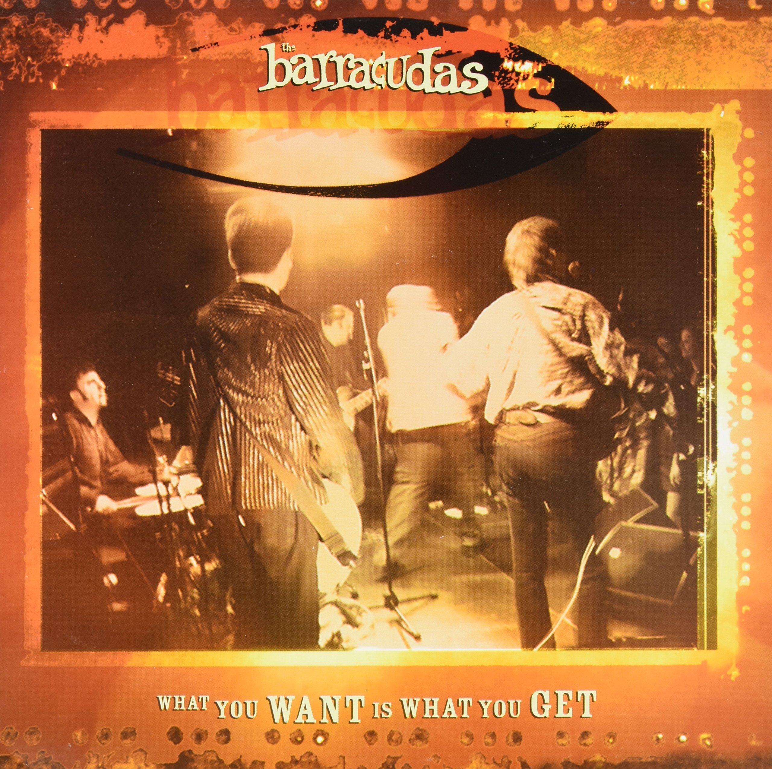 What You Want Is What You Get [7" VINYL]