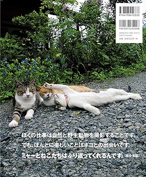 Amazon.co.jp: 岩合光昭のネコ-47都道府県の408にゃんこ : 岩合