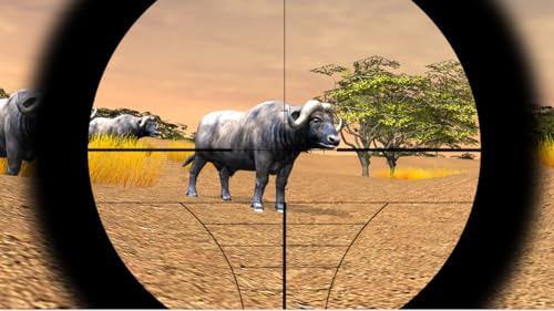 Safari Hunting 4x4