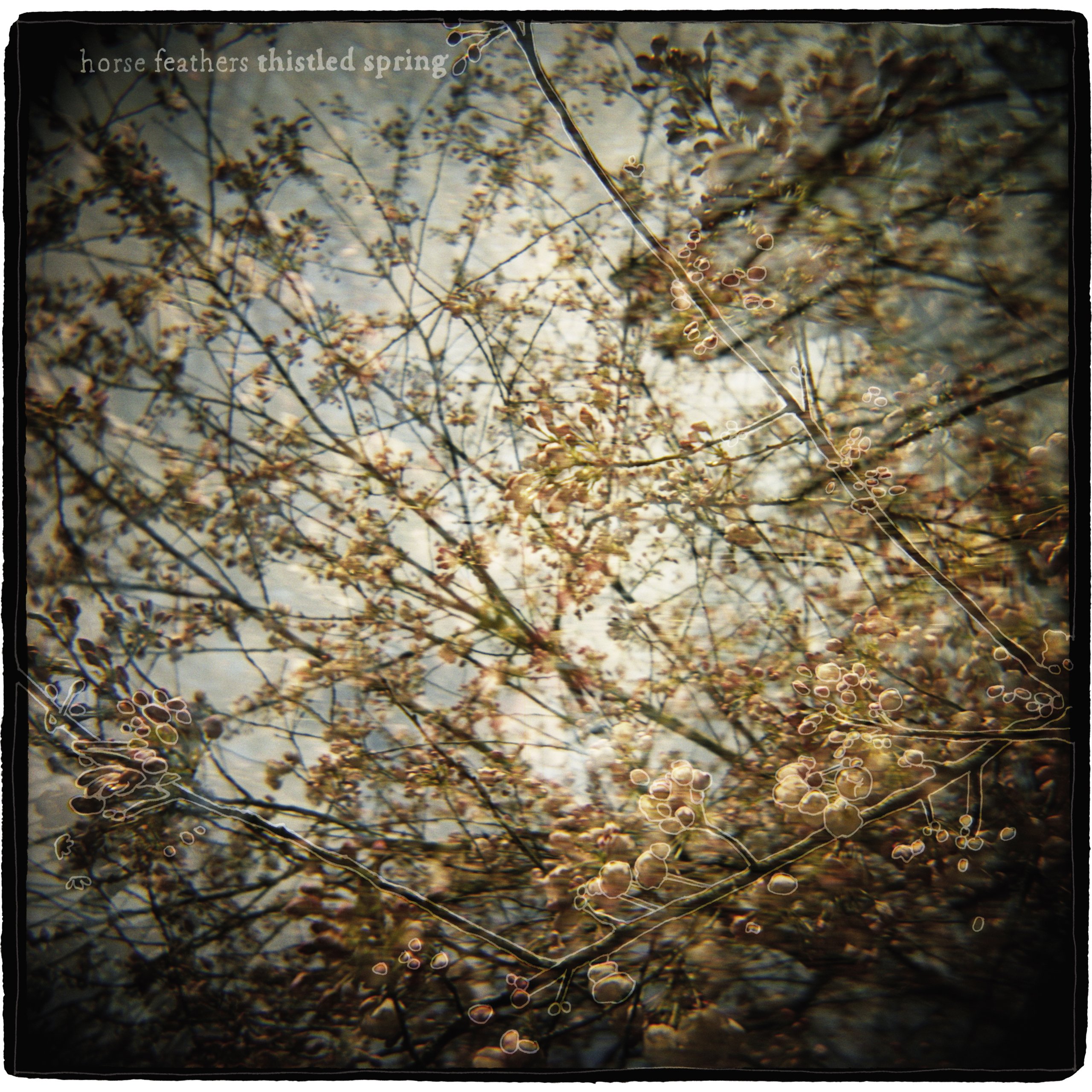 Thistled Spring Lp