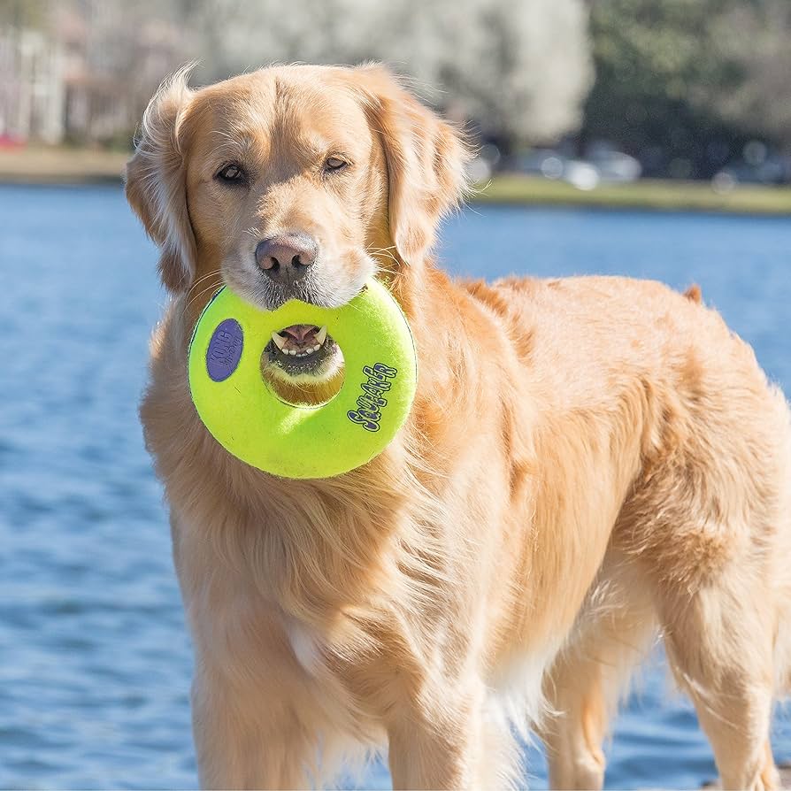 Pet Supplies : Pet Squeak Toys : KONG - AirDog Squeaker