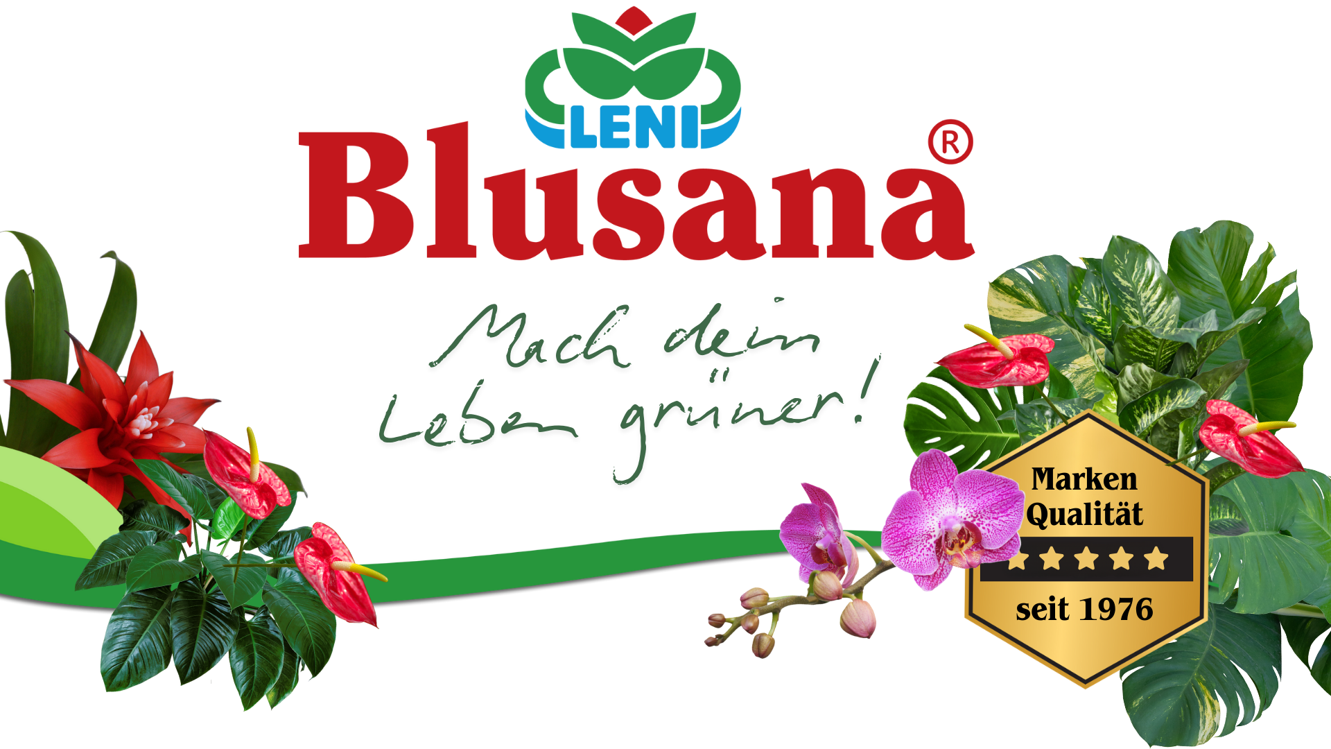 Blusana Langzeitdnger Lewatit HD 50 fr Zierpflanzen in Hydrokultur | NPK  mineralischer Dnger mit Ionenaustauscher 3-4 Monate Wirkung | Dose 200 ml  Granulat : Amazon.de: Garten
