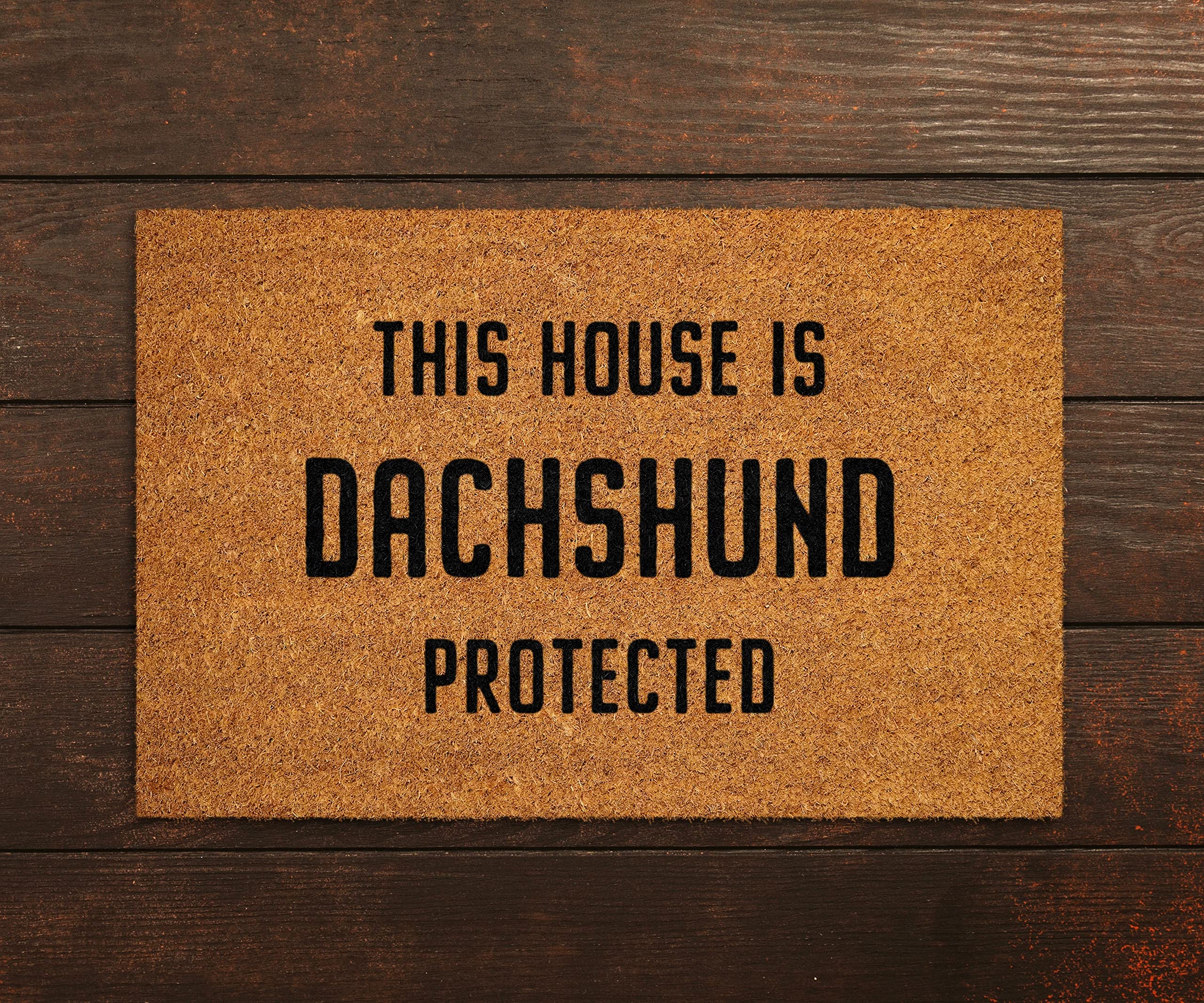 Ensound Dachshund Door Mat,Funny Dogs Door Mat,Funny This House Dachshund Protected Doormat,Welcome Mats with Non-Slip Rubber Flannel Floor Mat 24X16 Inch — image 1