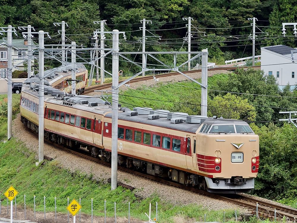 富士山　3号 特急ロマンスカーふじさん号＆富士山【№3】JR御殿場線・Mt Fuji
