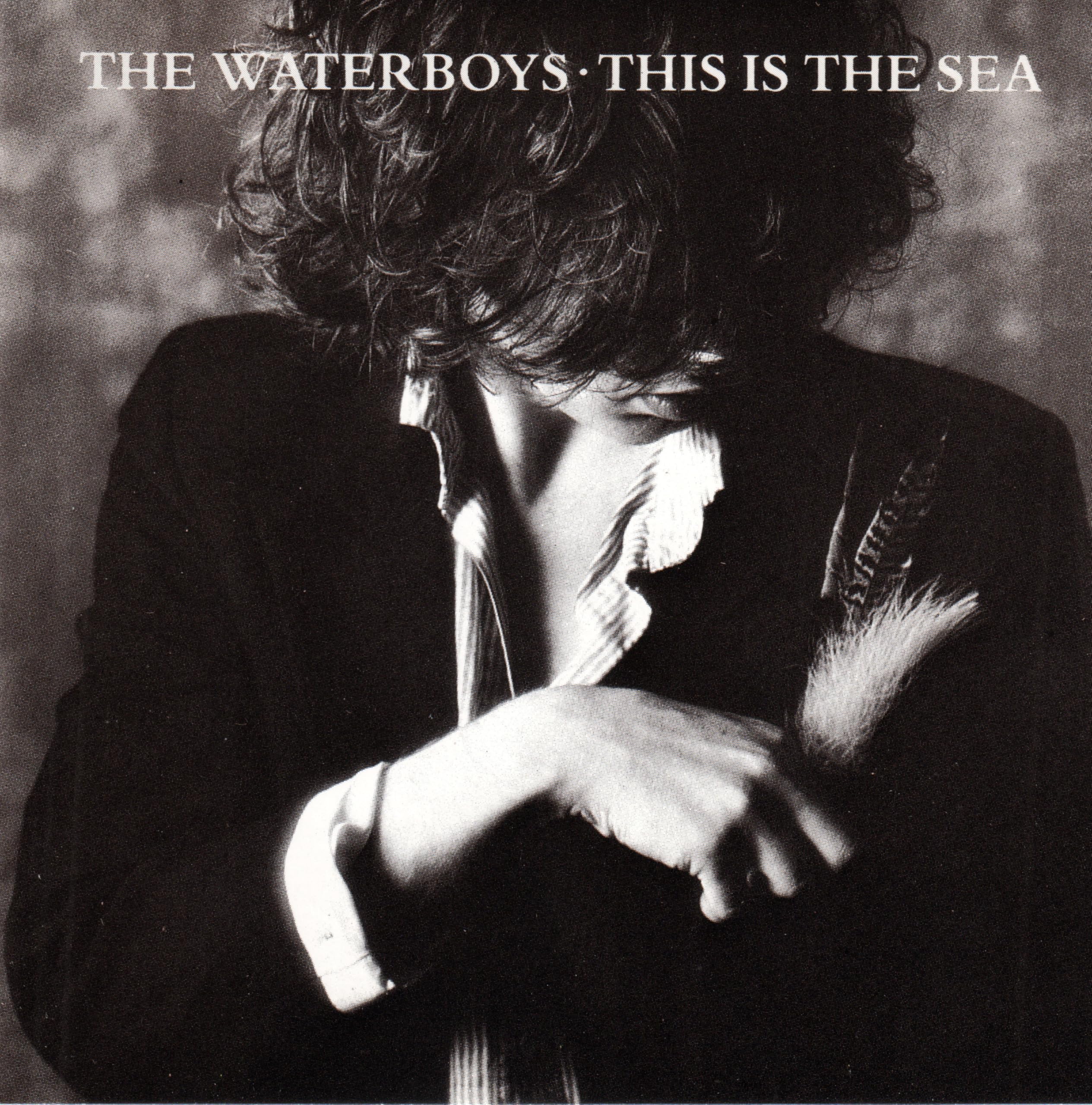 This Is The Sea: Amazon.co.uk: CDs & Vinyl