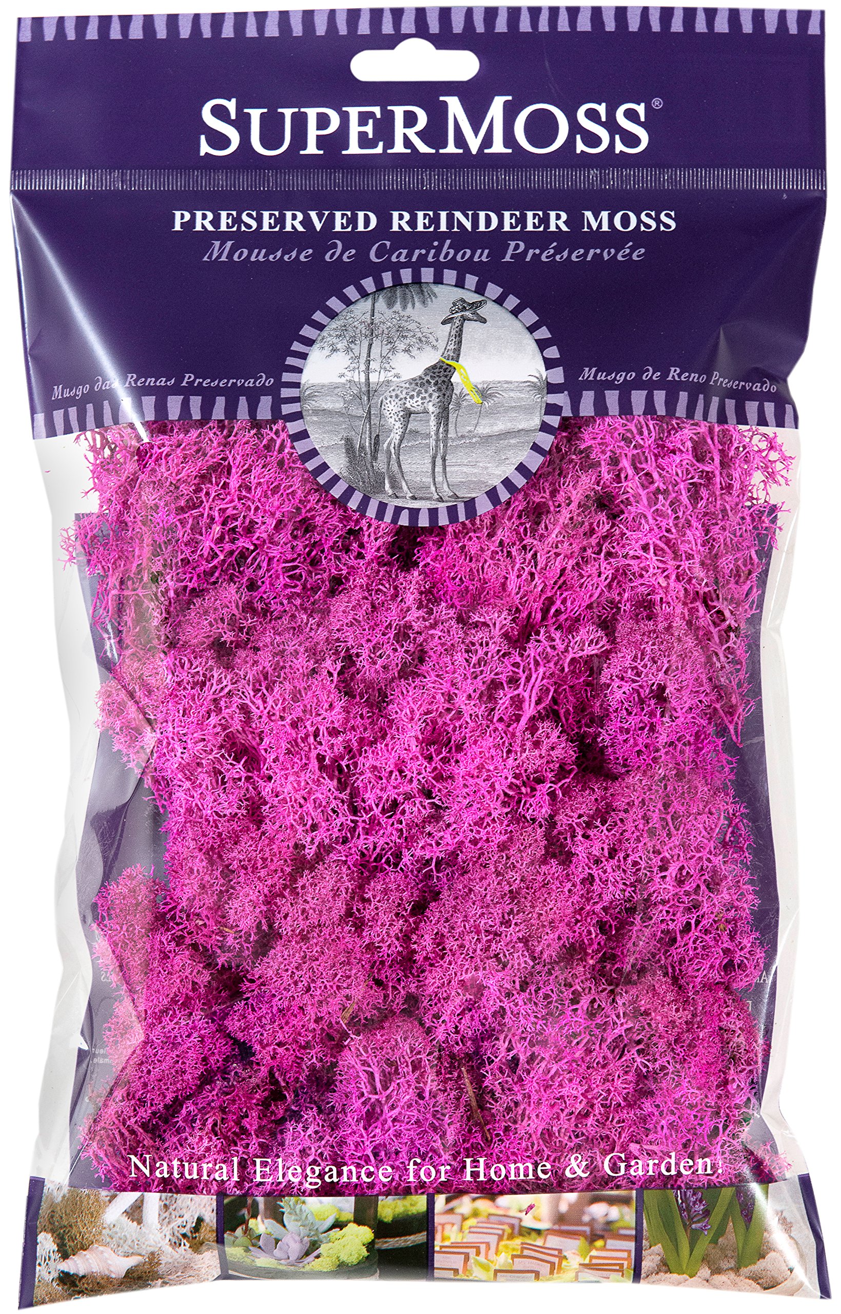 SuperMoss (23198) Reindeer Moss Preserved Bag, 2oz, Pink