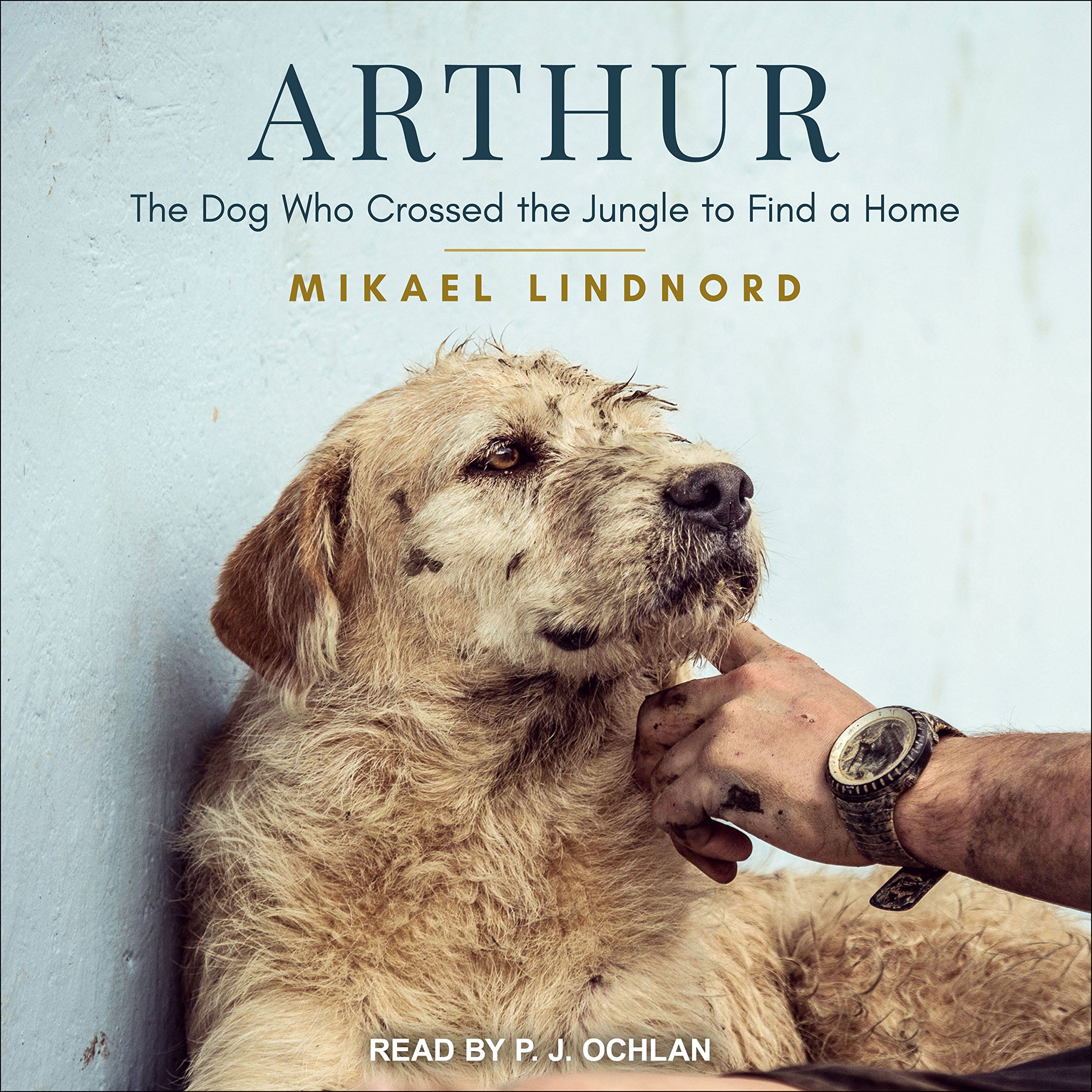 Cover art for Arthur