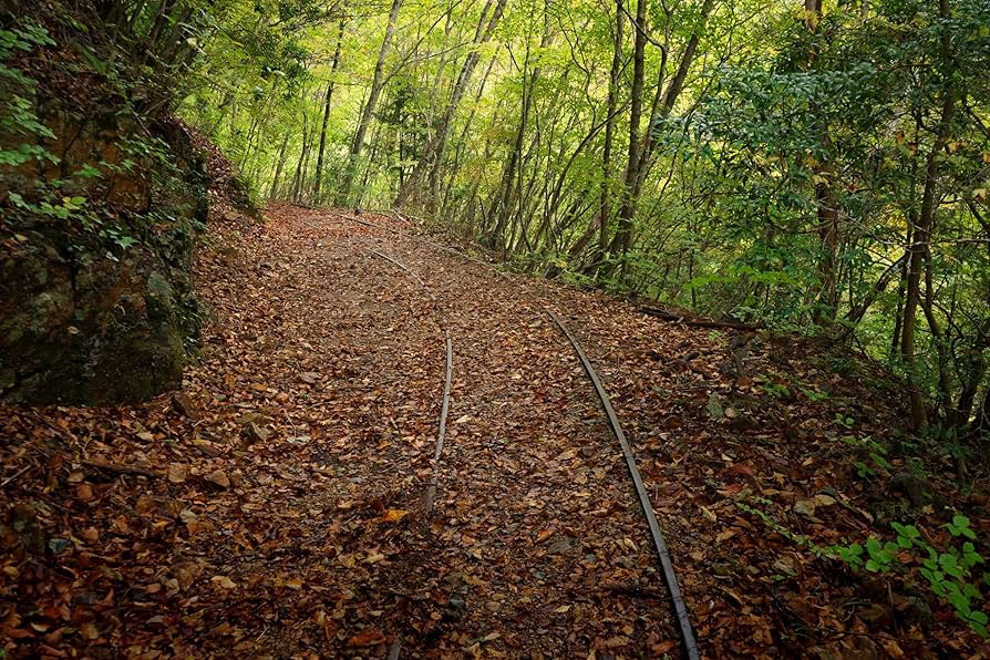 DVD 廃墟賛歌 廃道クエスト 廃道レガシイ 廃道ビヨンド 3枚セット Amazon.co.jp: 廃墟賛歌 廃道レガシイ Obroad Legacy [DVD