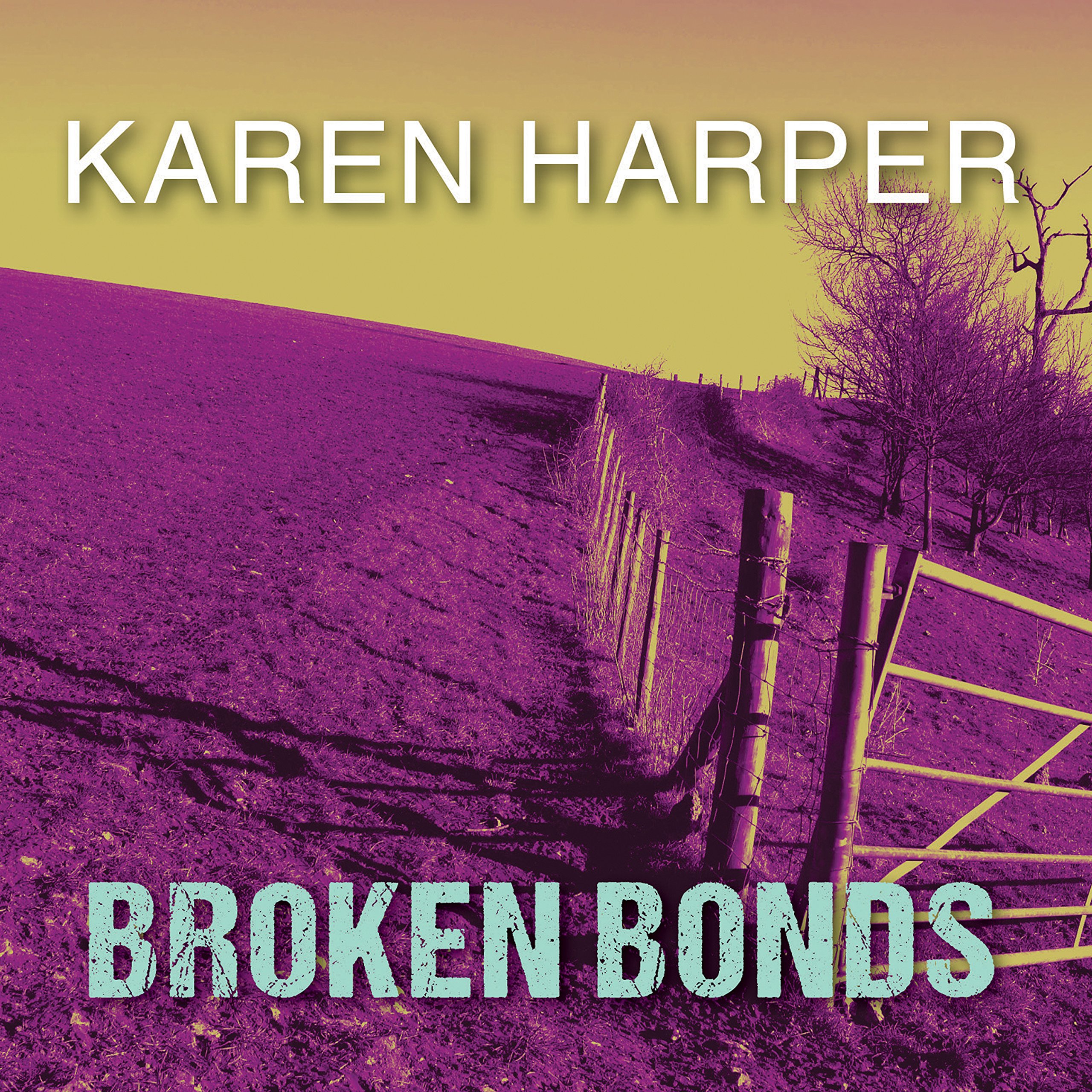Cover art for Broken Bonds